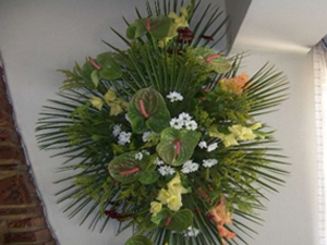 Floral Arrangements