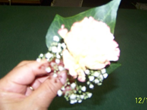 Lapel Carnation